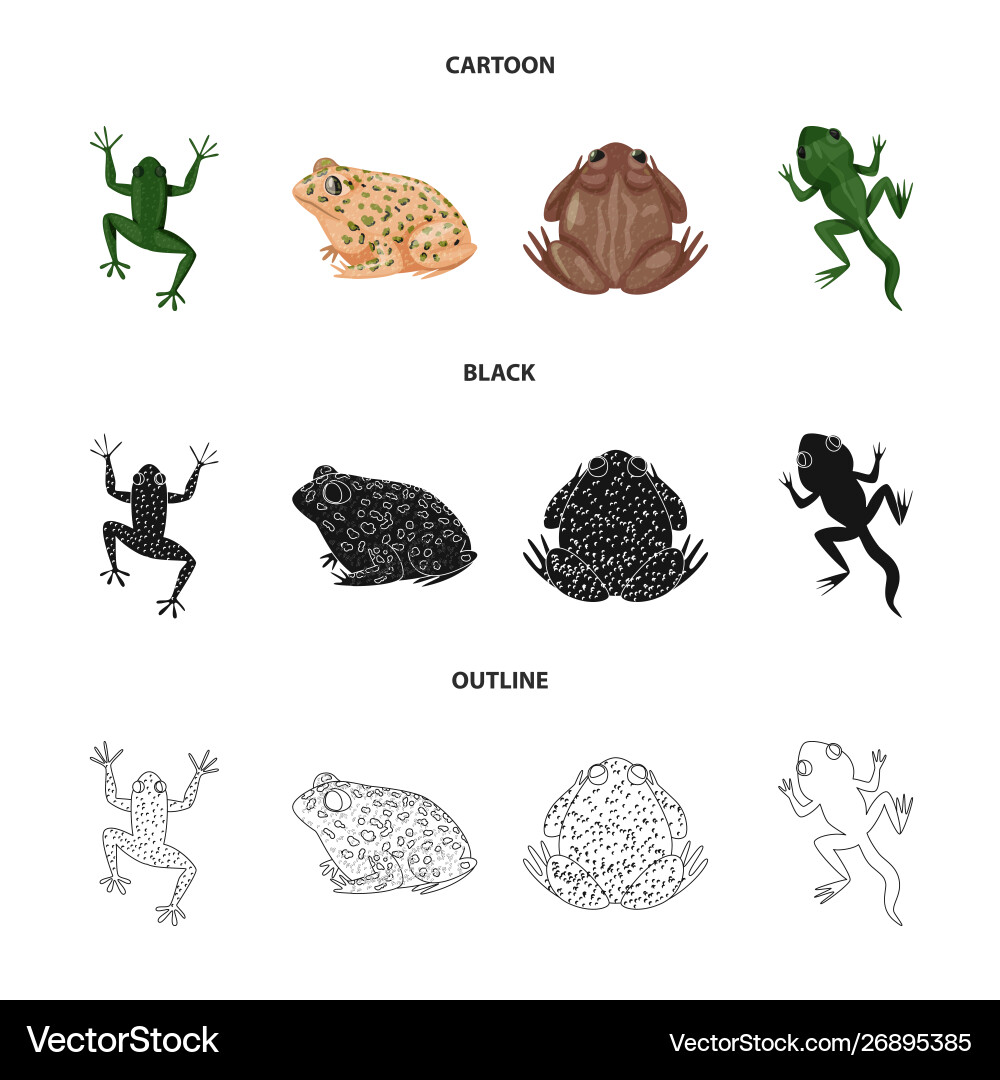 Isolated object wildlife and bog icon Vector Image