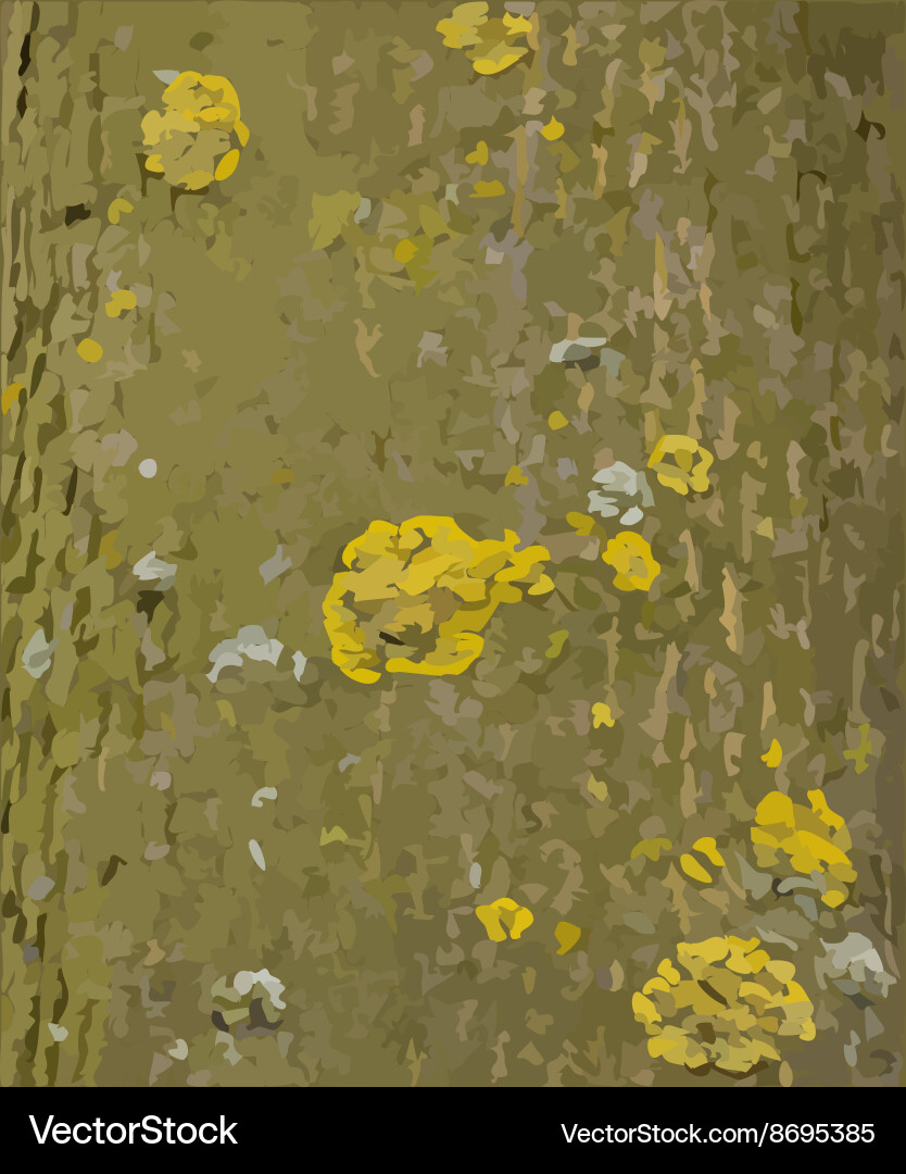Tree bark with lichens texture Vector Image