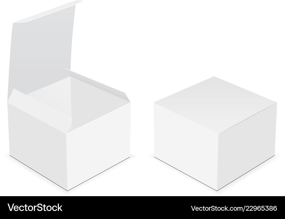 Two blank square boxes - open and closed mock up vector image