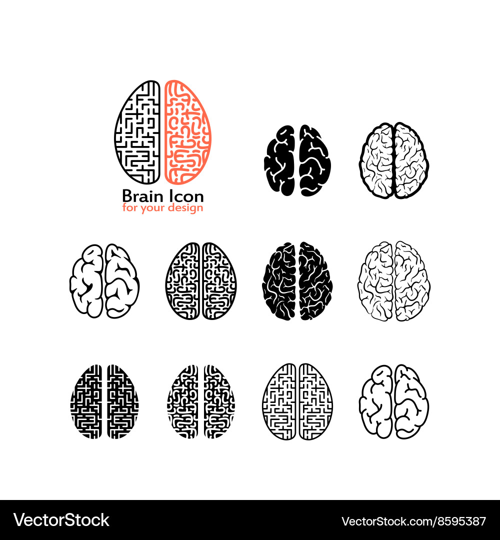 Brain Icon Set - Idea & Intellect Vector Image