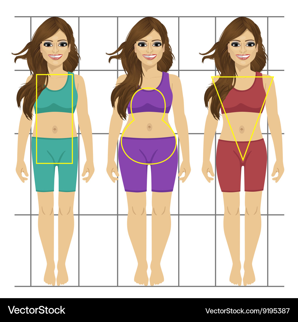 Different women s figures three female body types – Royalty-Free Vector |  VectorStock, image size:1000x1080