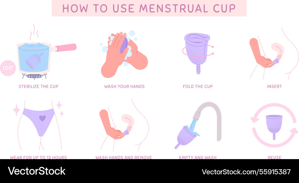 Menstrual cup using how to use clean and storing Menstrual cup using how to use clean and storing vector image