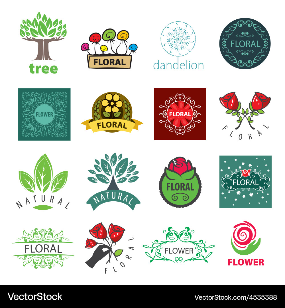 Floral Logo Collection Vector Image