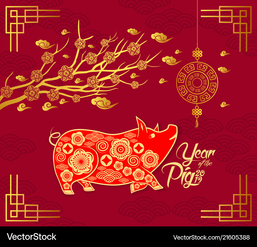 Happy chinese new year 2019 card with pig blossom Happy chinese new year 2019 card with pig blossom vector image