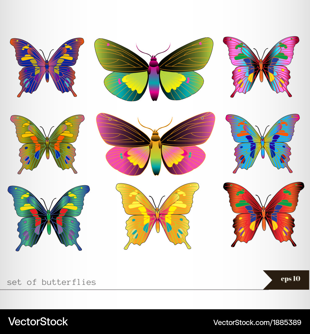 Set of different multicolored butterflies Vector Image