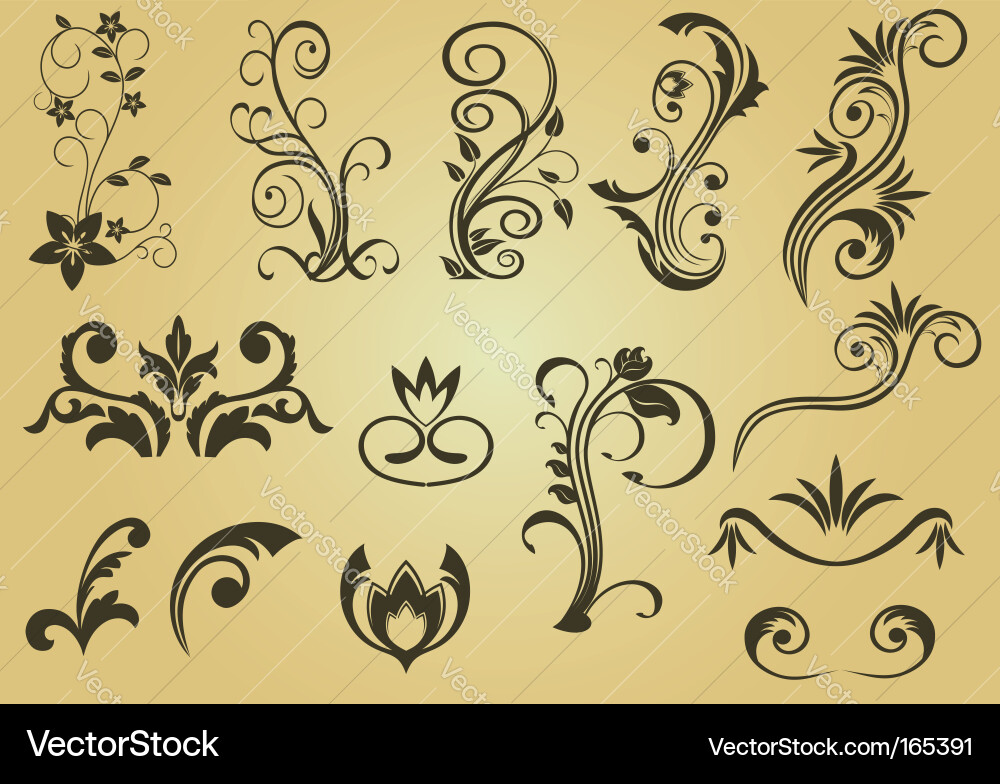 Flower patterns and borders Vector Image