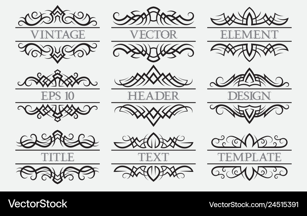 Vintage elements with a header field set Vector Image