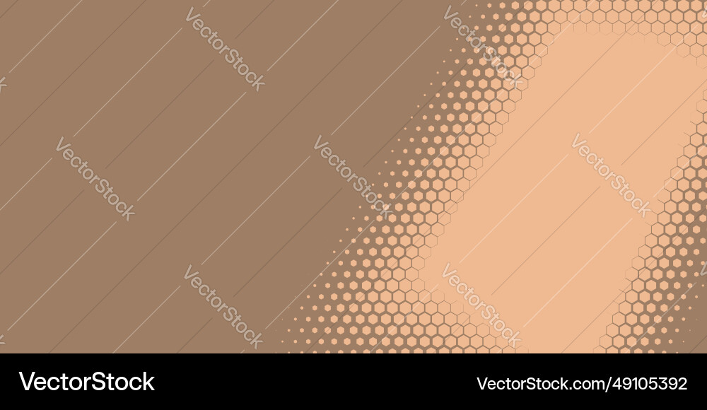 Geometric abstract hexagon two color background Vector Image