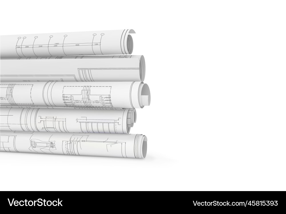 Scrolls with blueprints on a white background Vector Image
