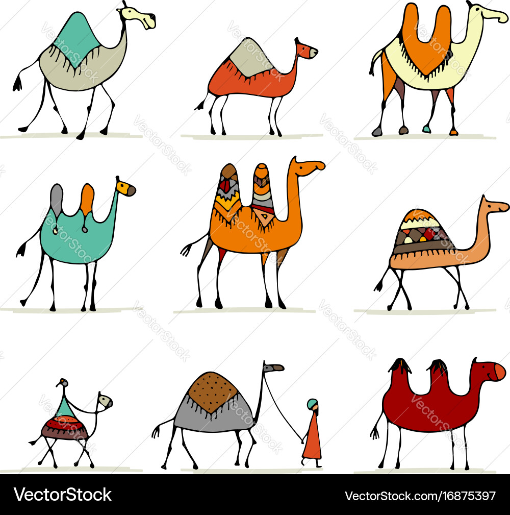 Camel set sketch for your design Vector Image