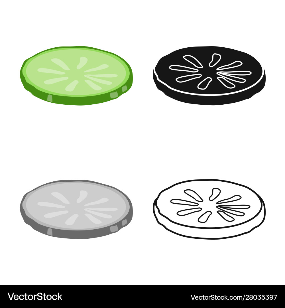 Isolated object cucumber and slice symbol web Vector Image