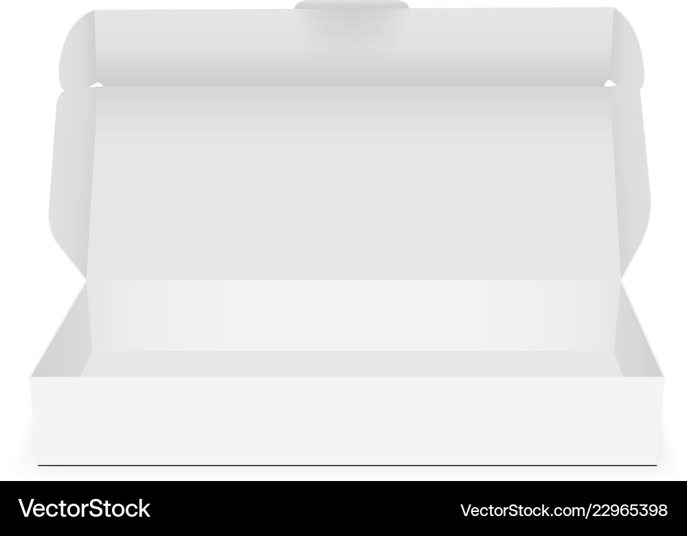 Rectangular box mock up with open lid vector image