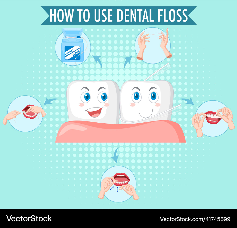 Clean tooth and process of flossing Clean tooth and process of flossing vector image