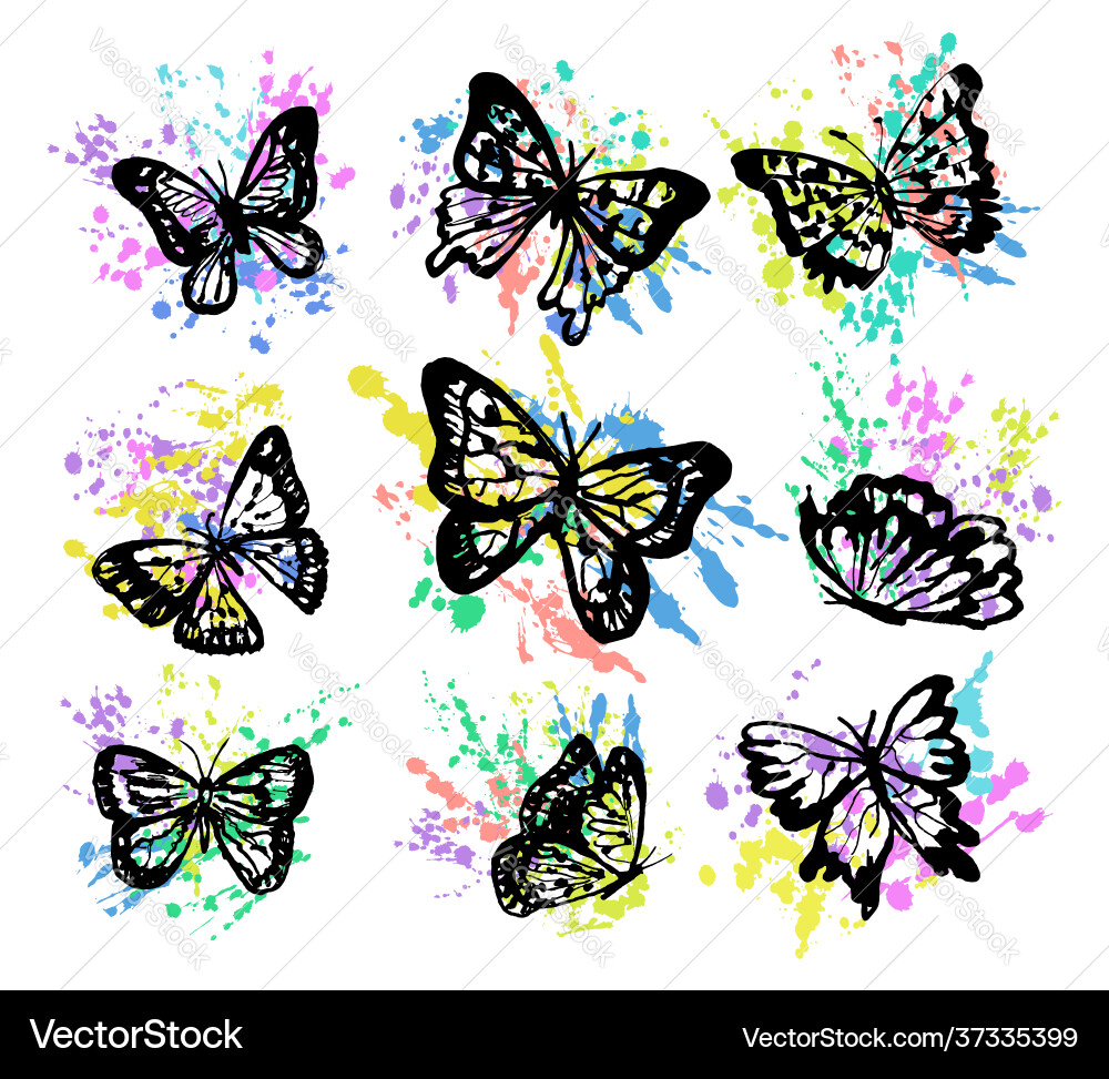Set linear butterflies on colorful background Set linear butterflies on colorful background Vector Image