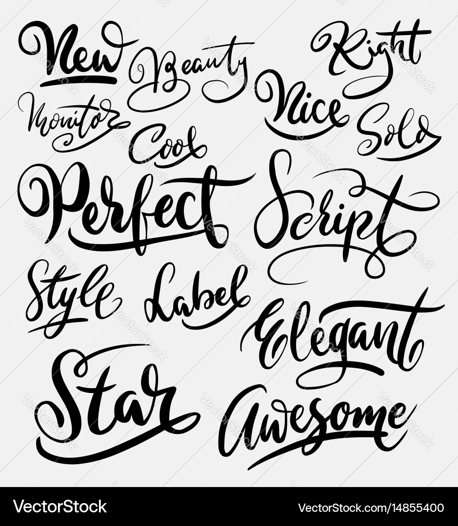 Elegant Script Typography vector image