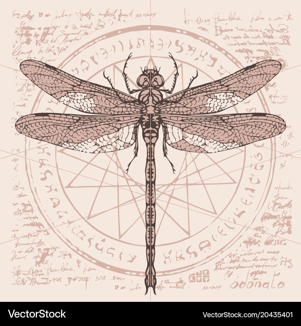 Drawing of dragonfly on an abstract background Vector Image