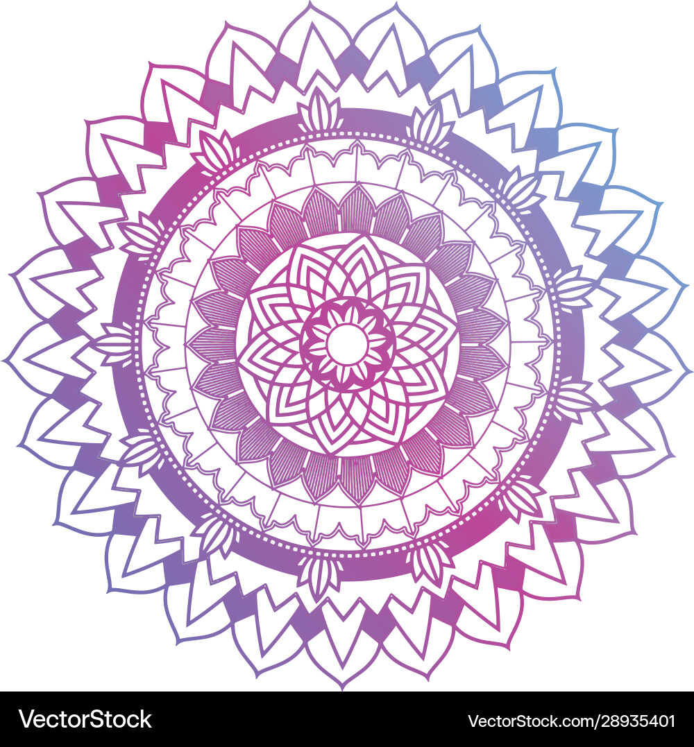 Mandala patterns on isolated background Vector Image