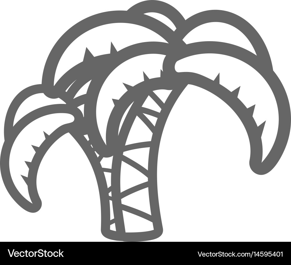 Palm tree outline icon summer vacation Vector Image