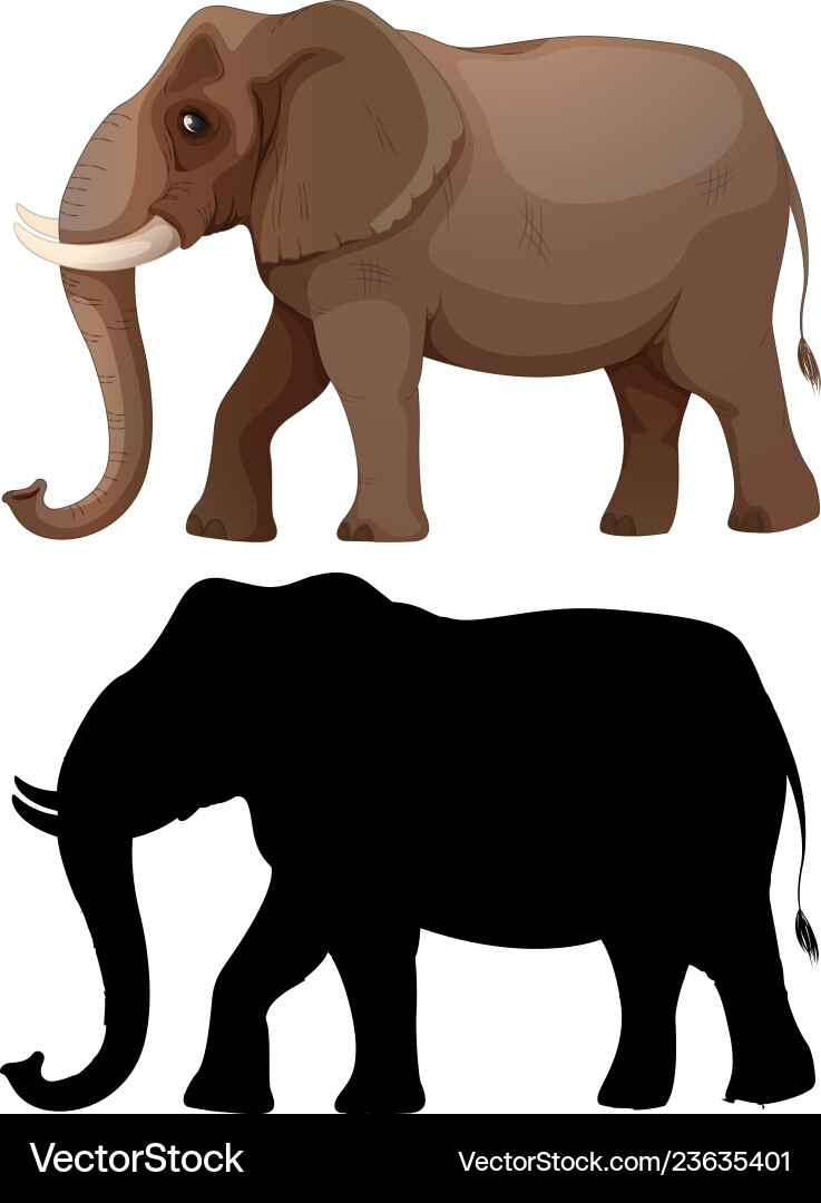 Set of elephant character Vector Image
