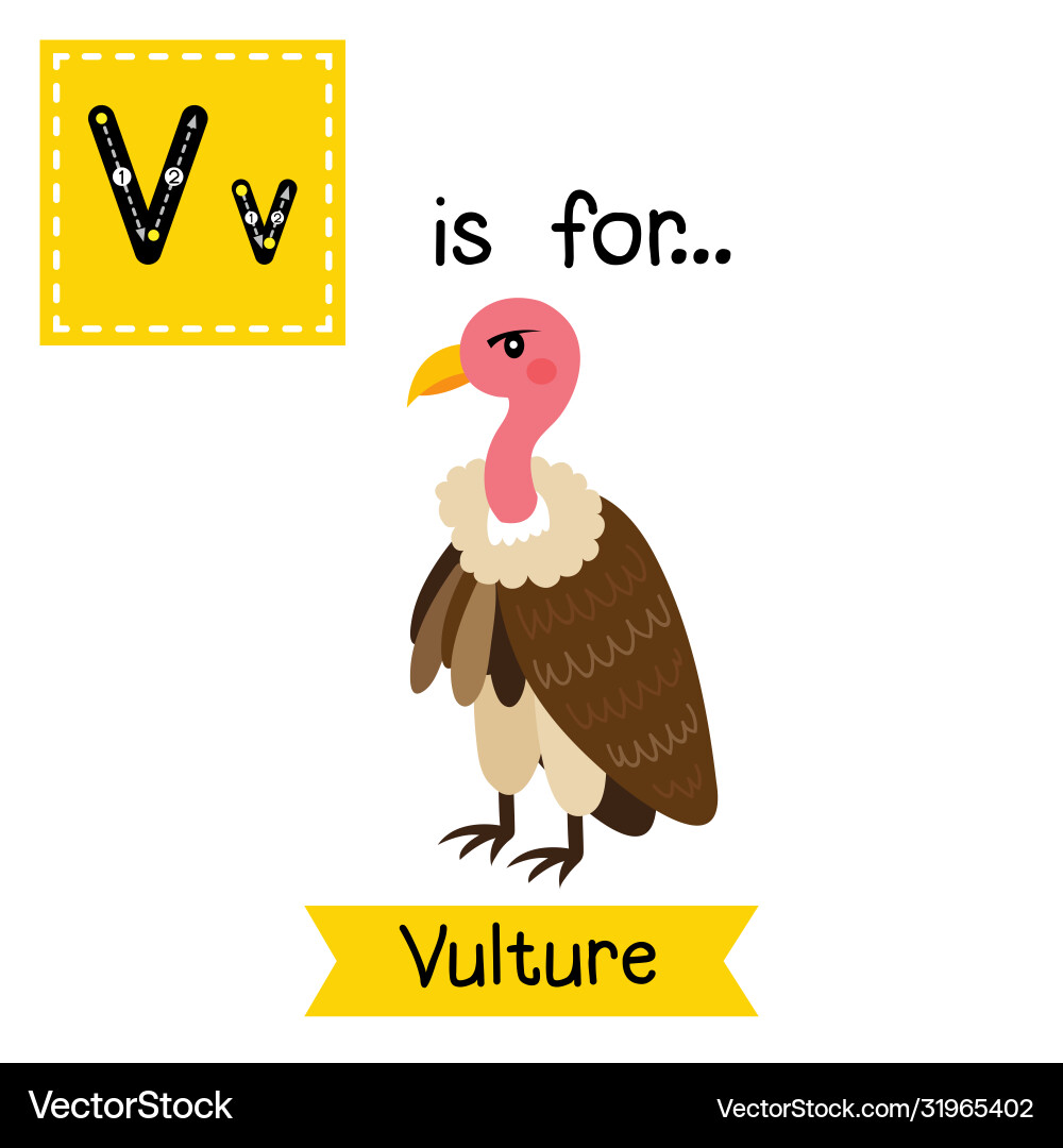 Letter v tracing vulture bird Letter v tracing vulture bird vector image
