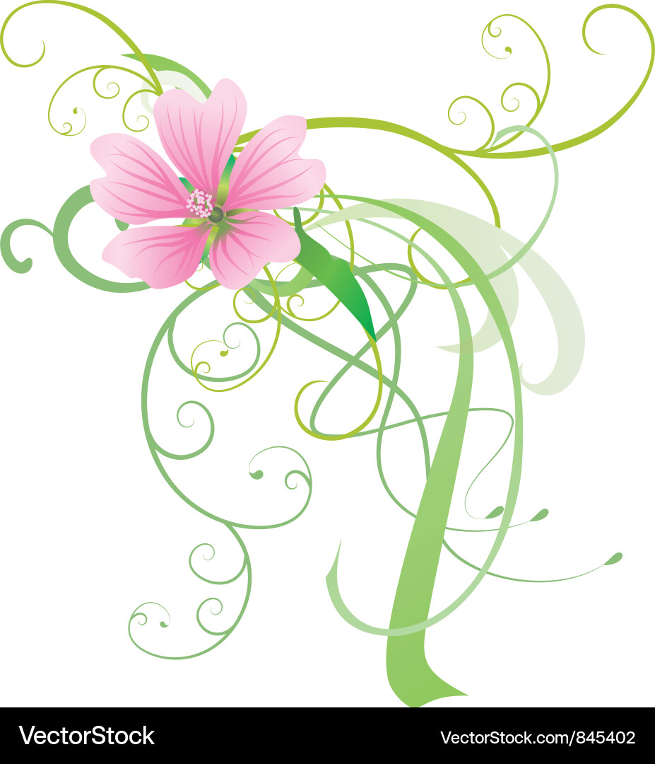 Pink Malva Blossom Vector Image