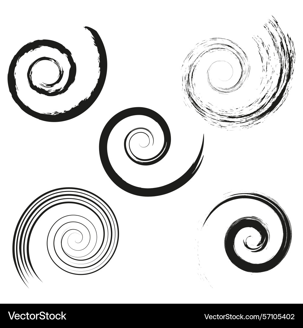 Swirl spiral collection curved line patterns Swirl spiral collection curved line patterns vector image