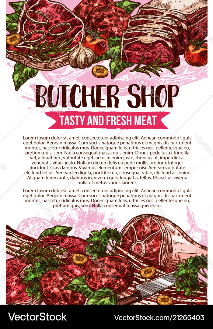 Butcher shop sketch meat poster vector image