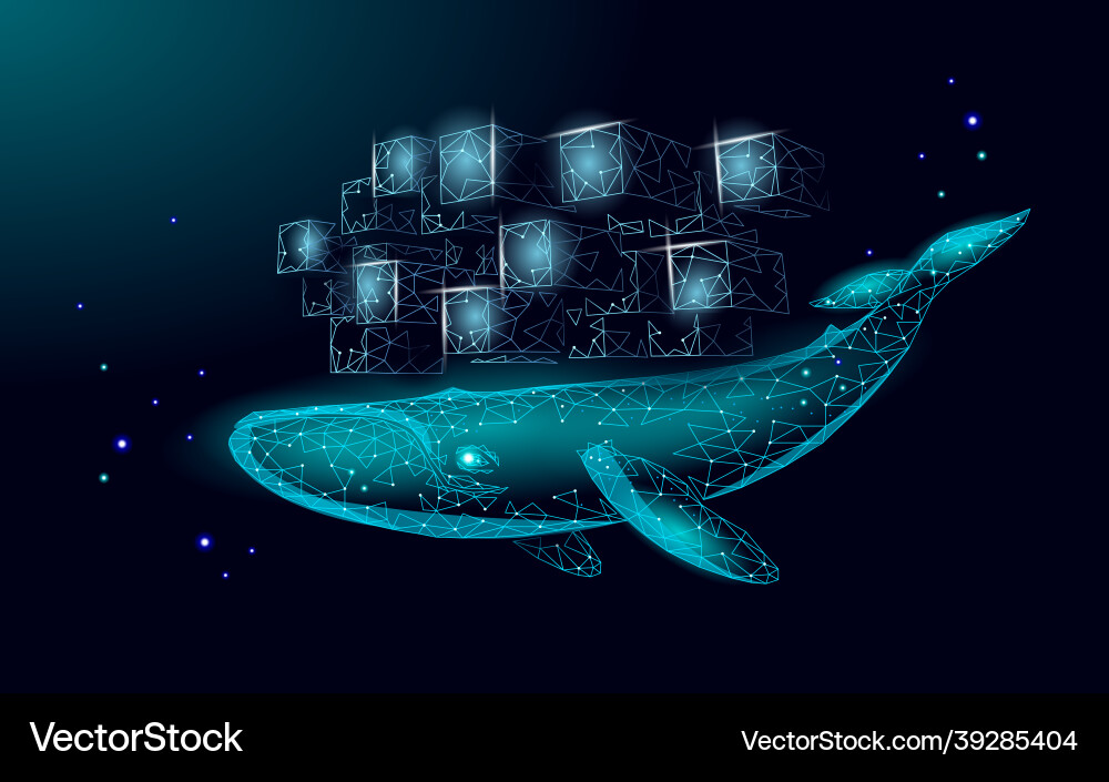 Whale and container computer docker developer app Whale and container computer docker developer app vector image