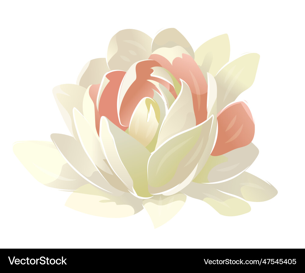 Blume für Hochzeit Einladung elegant Set Blume für Hochzeit Einladung elegant Set vektorbild