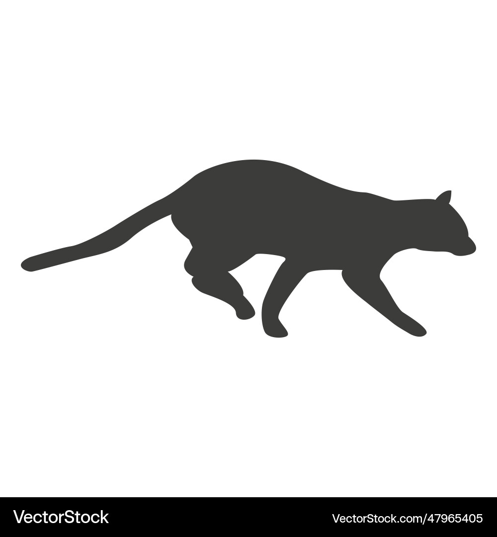 Cat running sequence 18 vector image