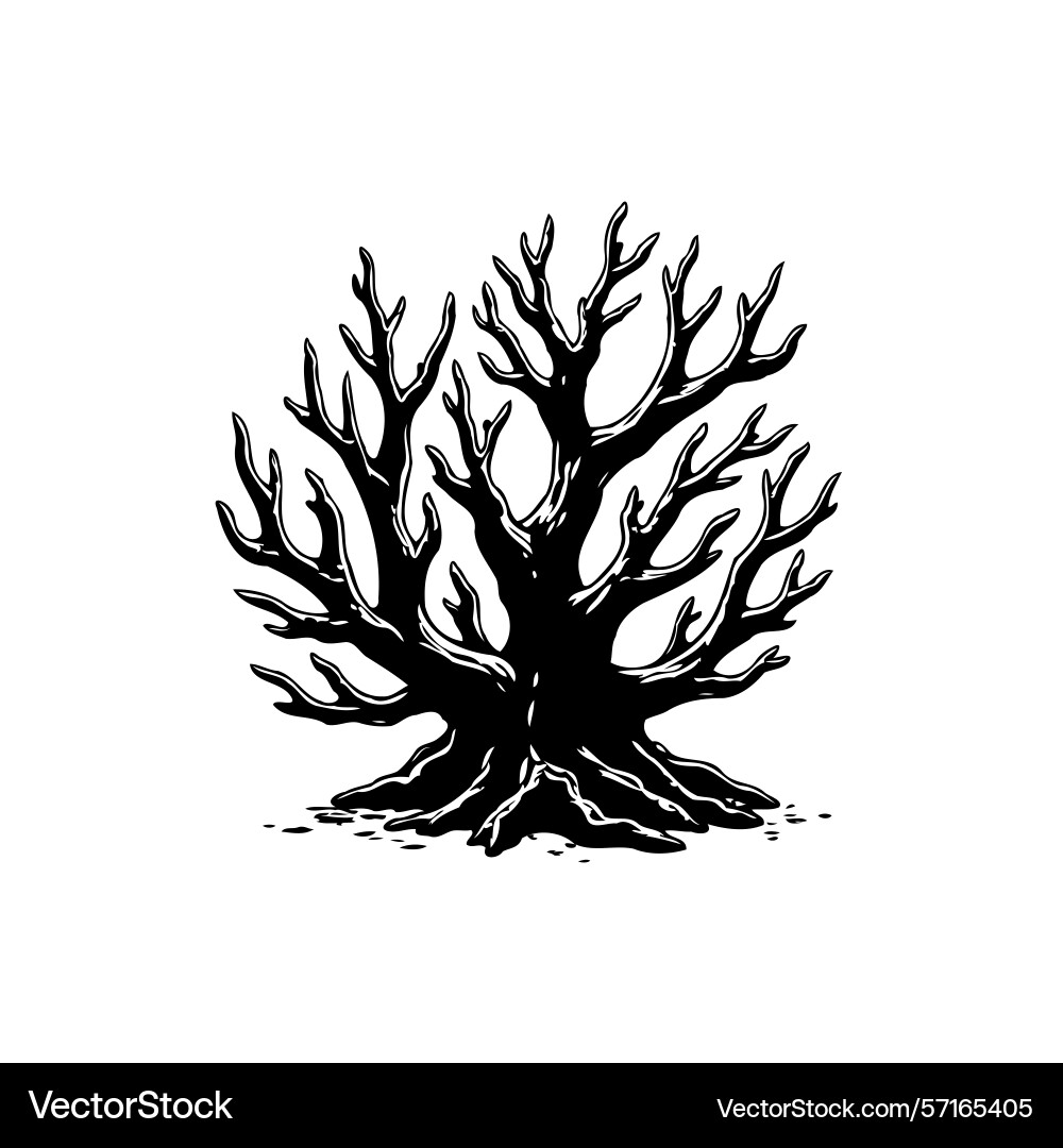 Monochrome of a stark bare tree with intricate Monochrome of a stark bare tree with intricate vector image