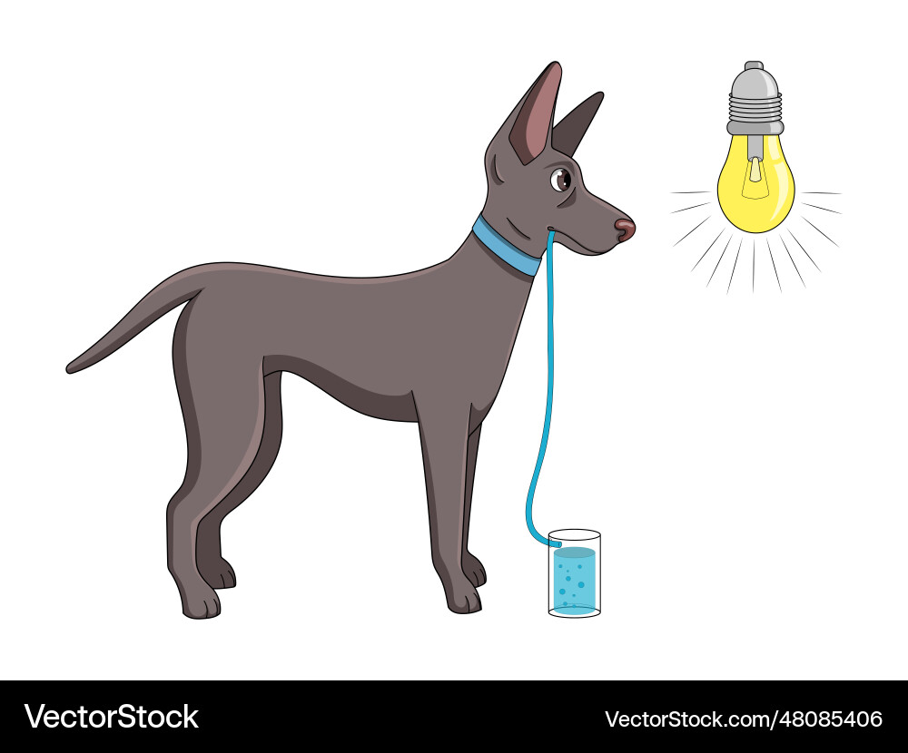 Pavlov dog reflex classical conditioning science – Royalty-Free Vector |  VectorStock, image size:1000x830
