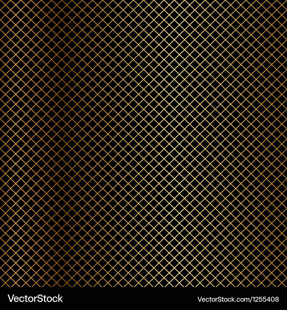 Gold Net Pattern on Black vector image