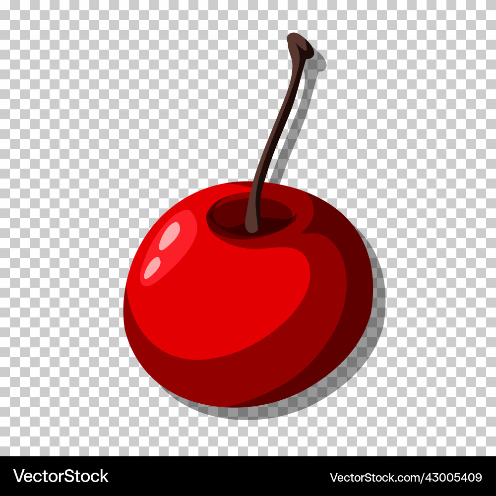 Isolated red cherry on grid background Vector Image
