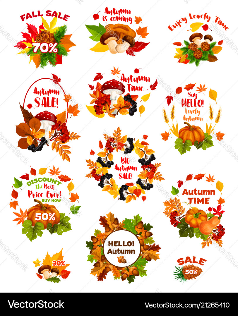Autumn sale label set of fall vegetable and leaf Autumn sale label set of fall vegetable and leaf vector image