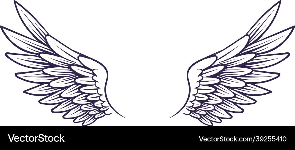 Drawn wing angel wings with feathers elements Drawn wing angel wings with feathers elements vector image