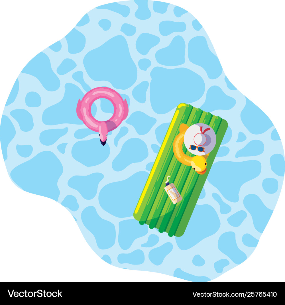 Summer floats pad and duck floating in pool vector image