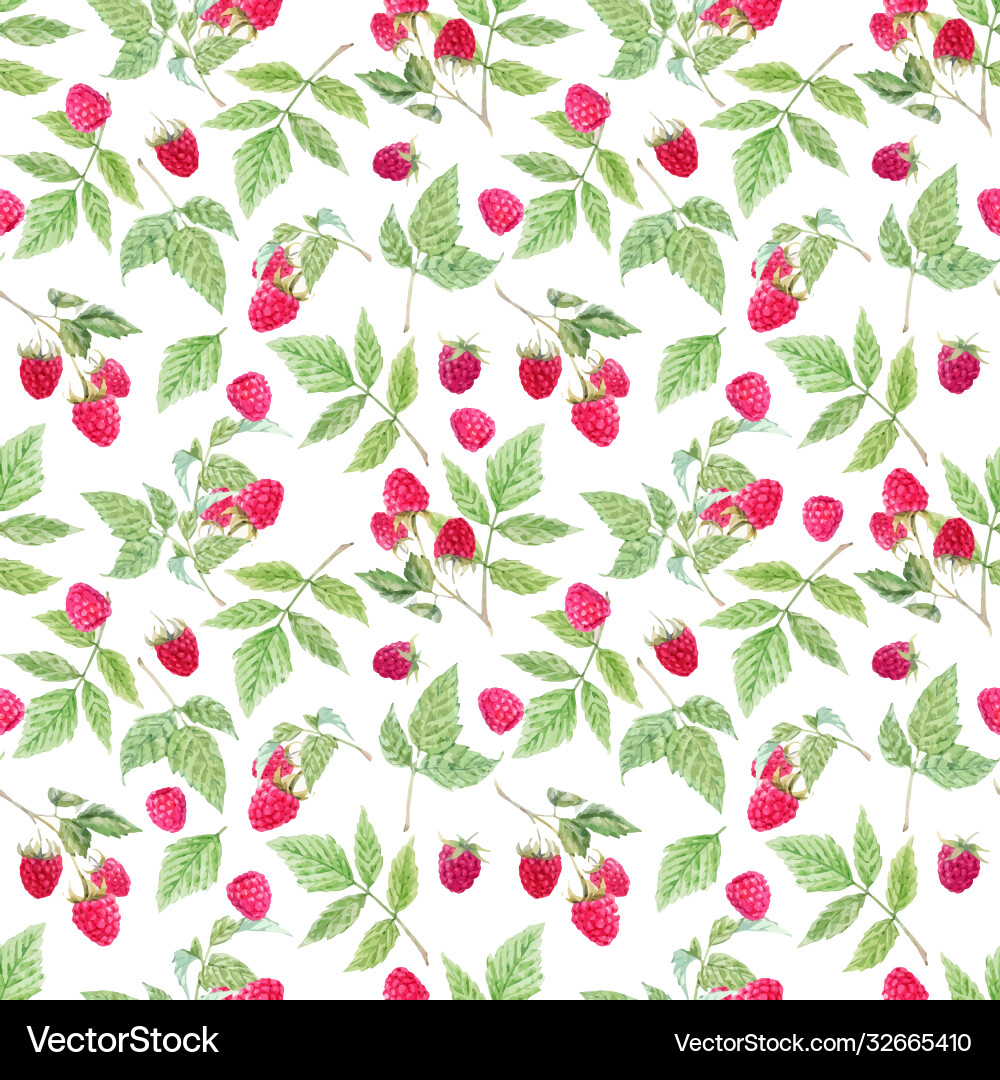 Watercolor Raspberry Leaf Pattern Vector Image