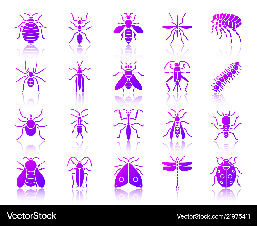Danger insect simple gradient icons set Vector Image