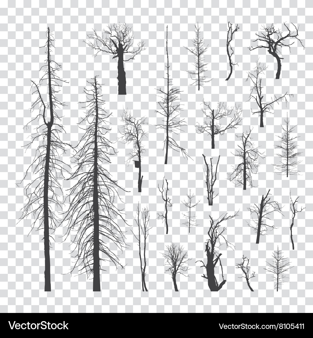 Dead Tree Collection - Black and White vector image