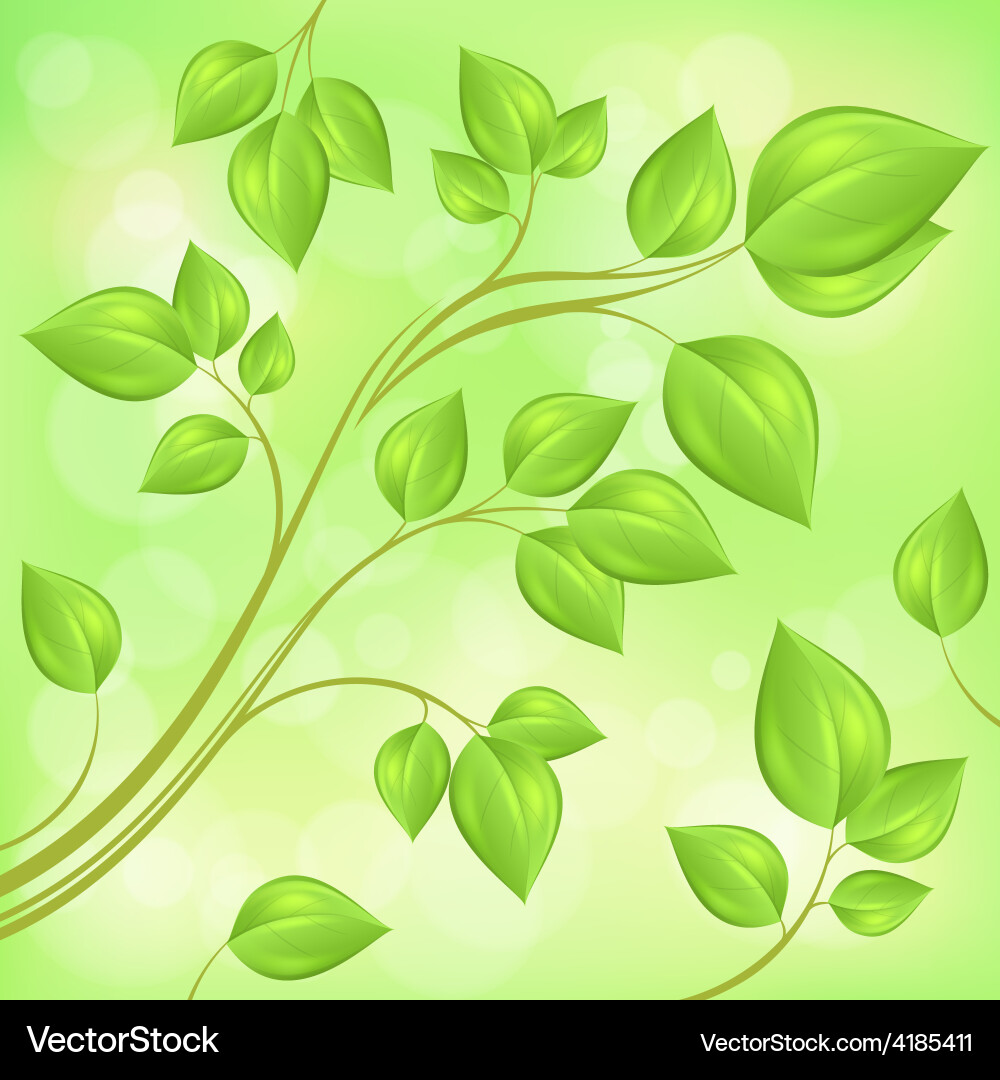 Spring branch with fresh Vector Image