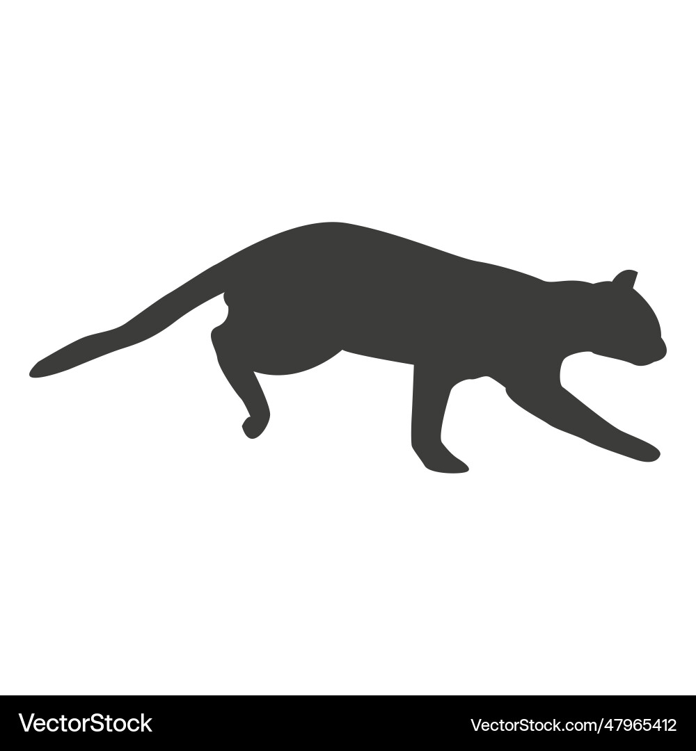 Cat running sequence 19 vector image