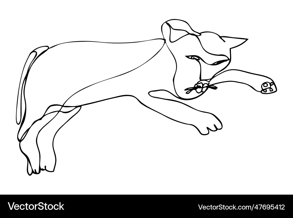Cat simple sketch single one or continuous line Vector Image