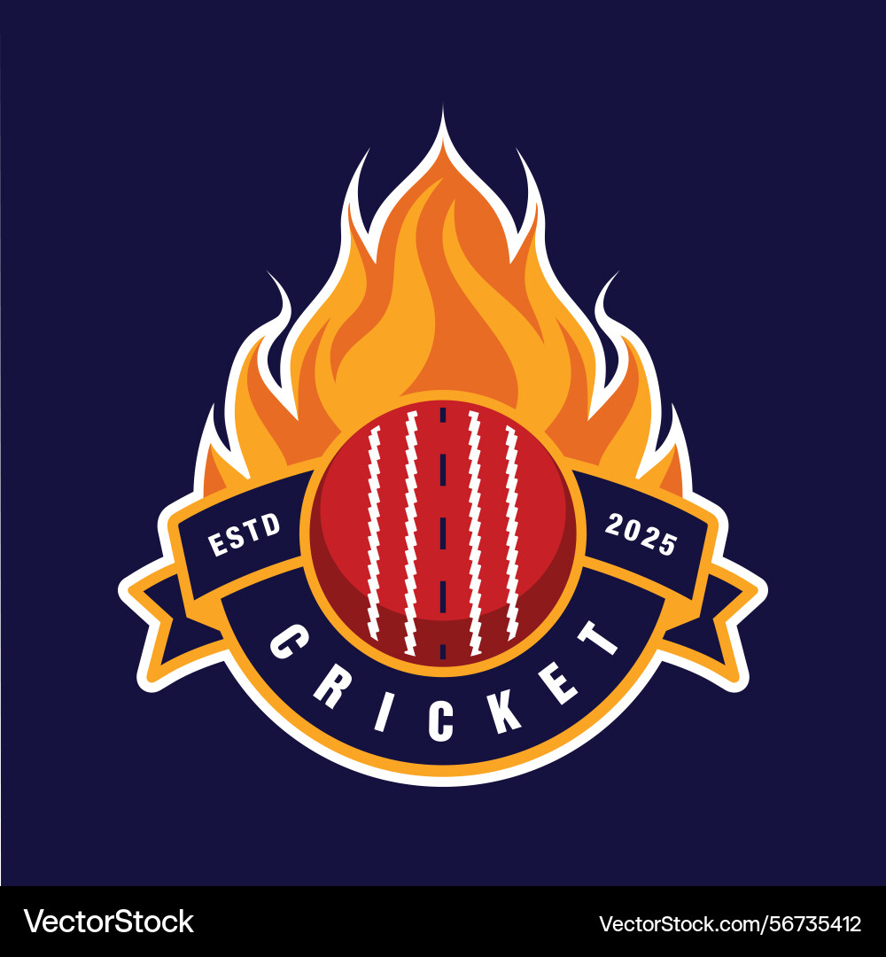 Cricket team logo template design vector image