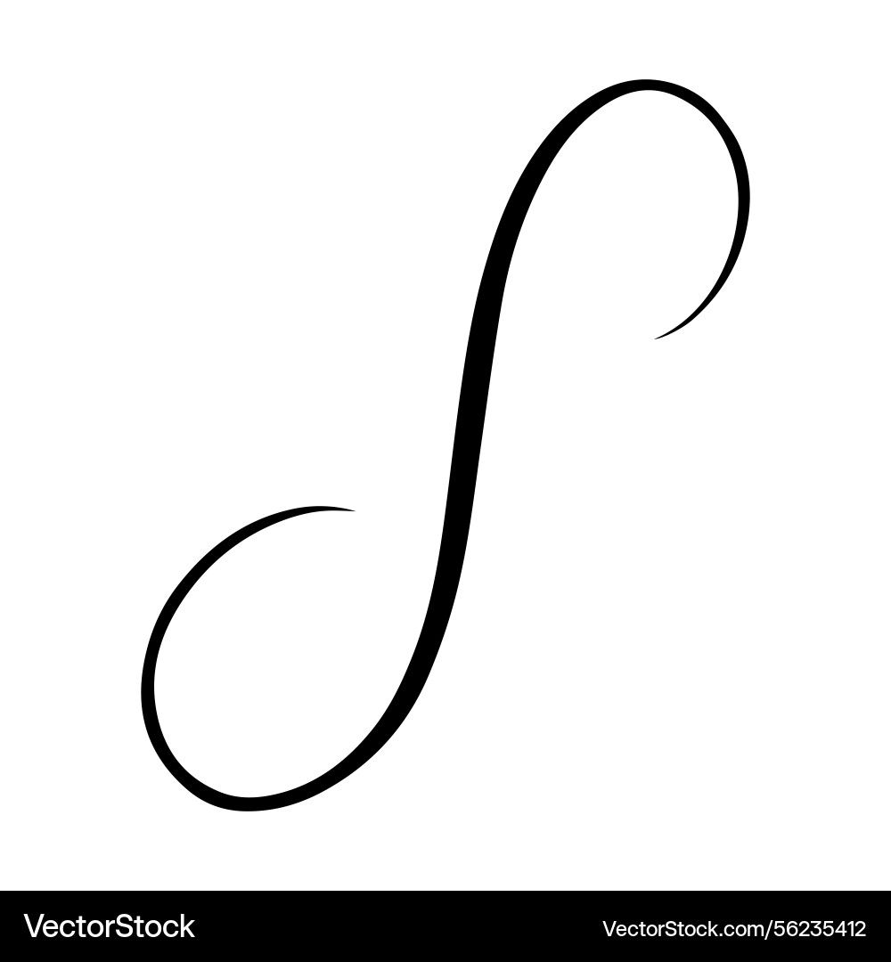 Flowing calligraphic swirl creating a sense vector image