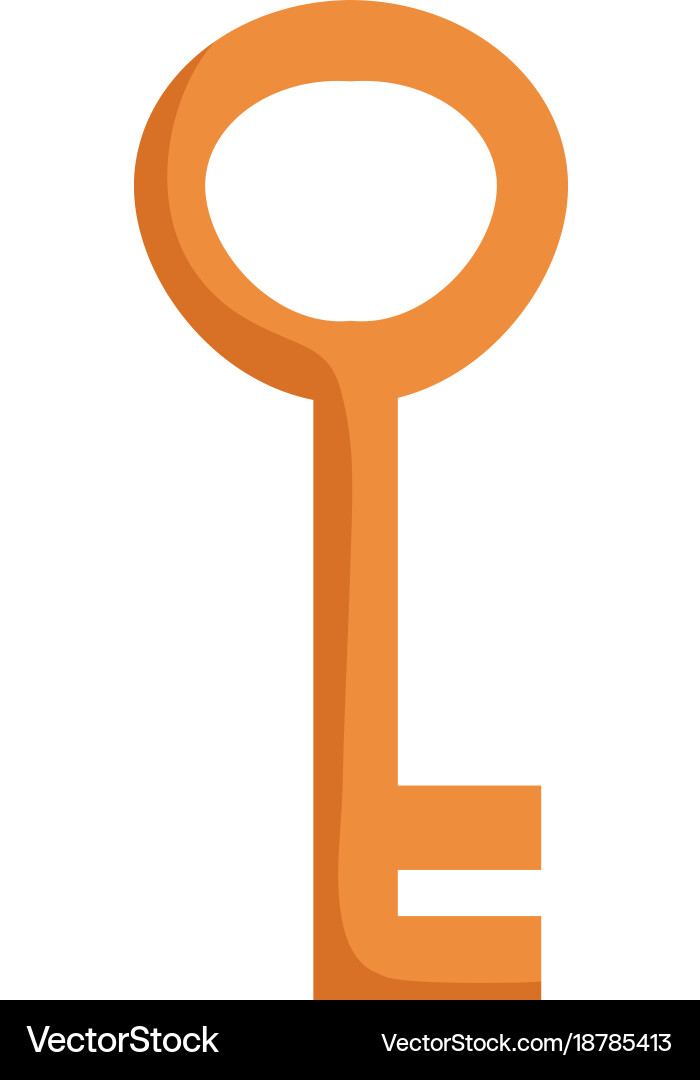 Old key icon image Vector Image