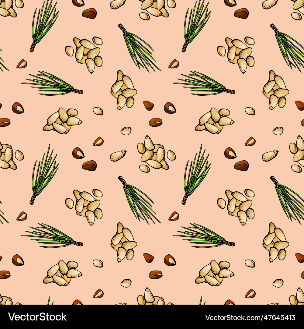 Seamless pattern with pine nuts Vector Image