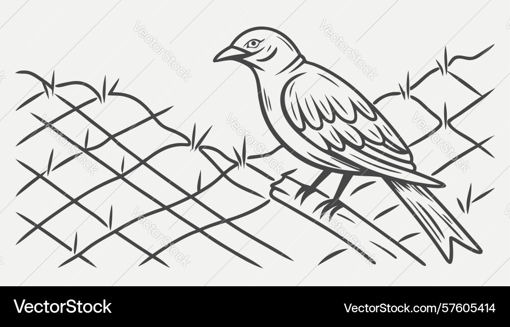 Bird on grid-like field outline with abstract Vector Image