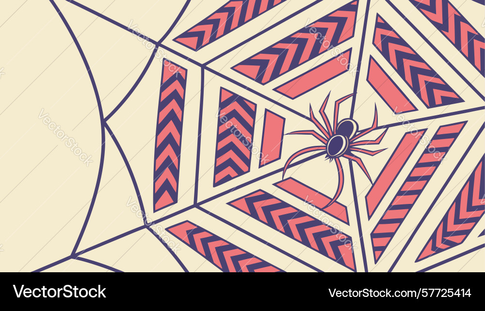 Intricate spider web with geometric patterns vector image