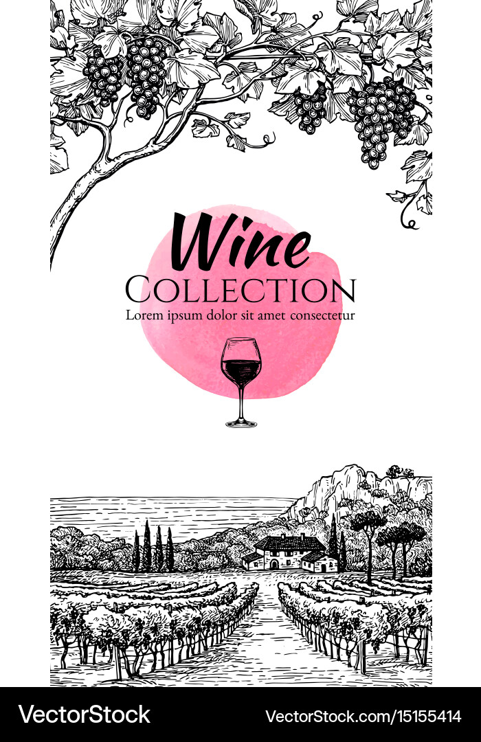 Vineyard Wine List vector image